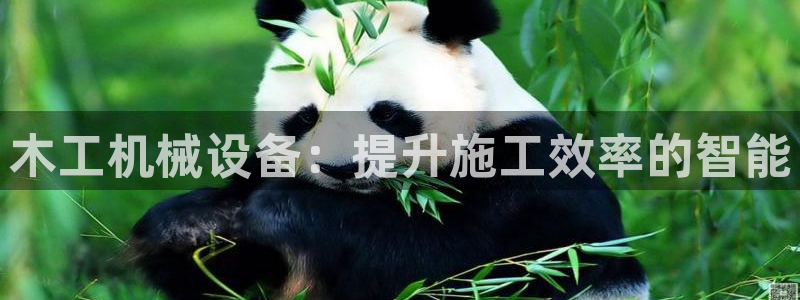 九游会可以提现吗