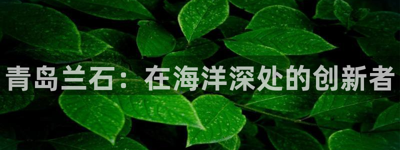 九游会网站打不开了