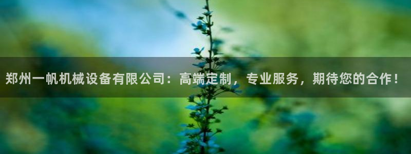 九游会老哥论坛