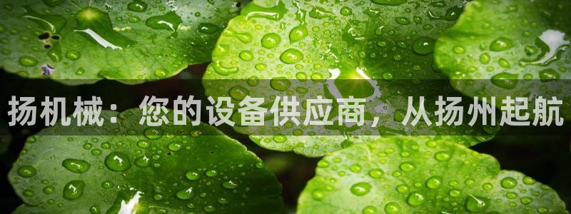 九游会国际厅