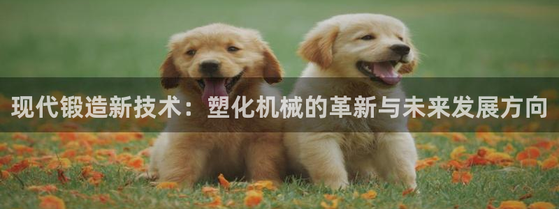 ag九游会j9