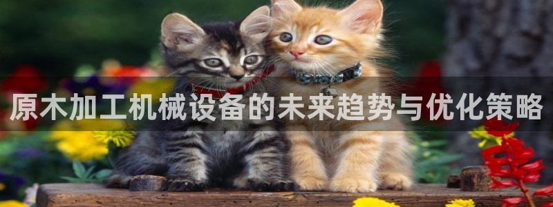 九游会俱乐部