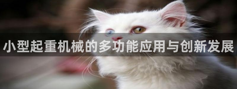 九游会中国j9 09.ag
