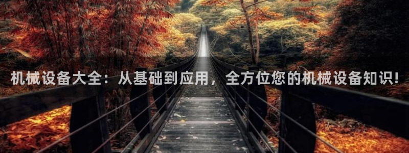 j9九游会网址