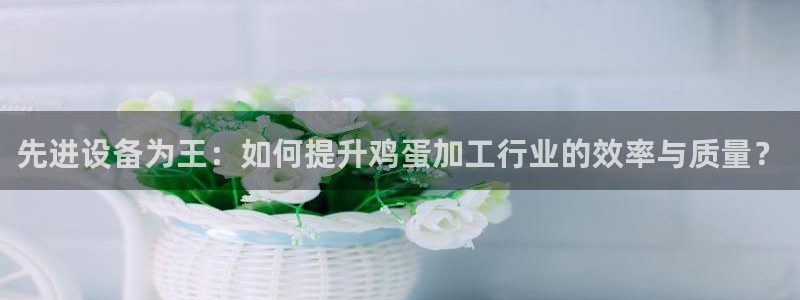 j9九游会官方网站