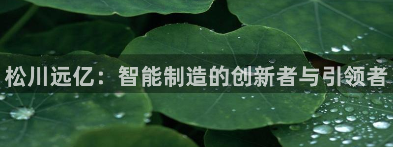 九游会登陆网址