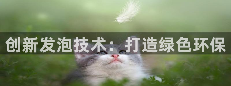 九游会j9官方登录入口