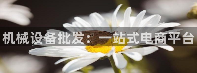 9游会app