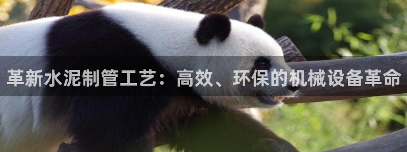 J9九游会登陆旧版