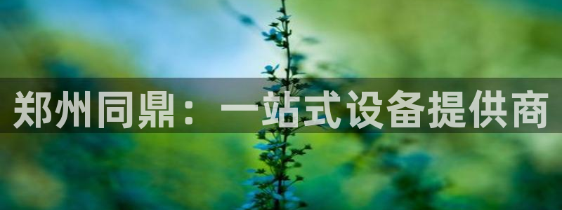 九游会网址大全