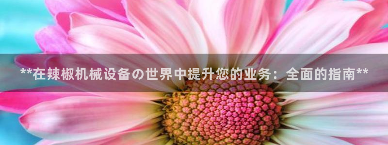 j9363九游会首页