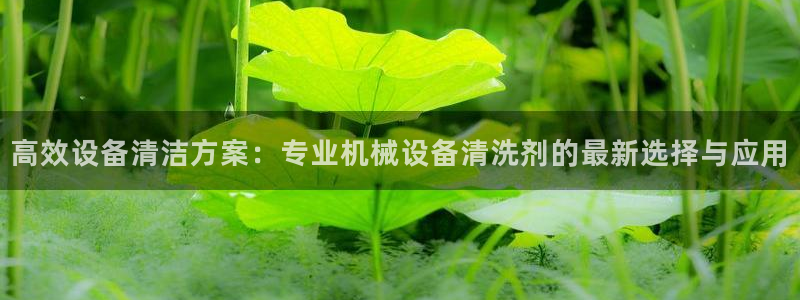 j9九游会老哥俱乐部