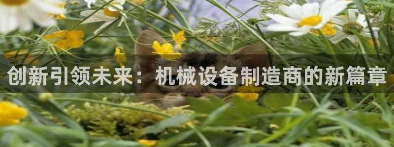 九游会官网入口ag亚洲