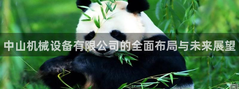 九游会游戏平台有哪些