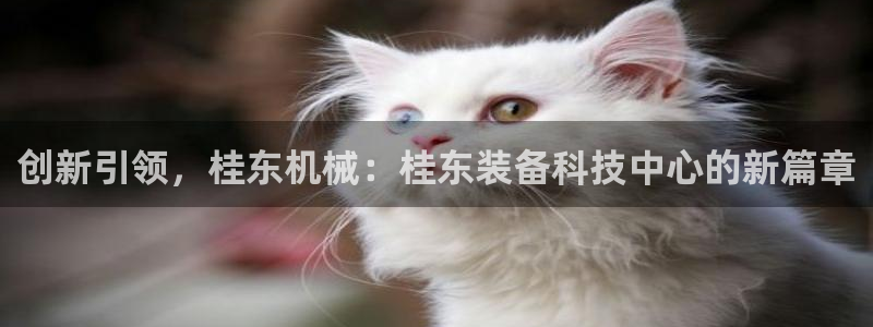 九游会真人第一品牌游戏合营