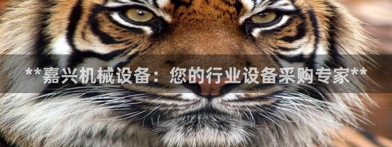 九游会ag入口：**